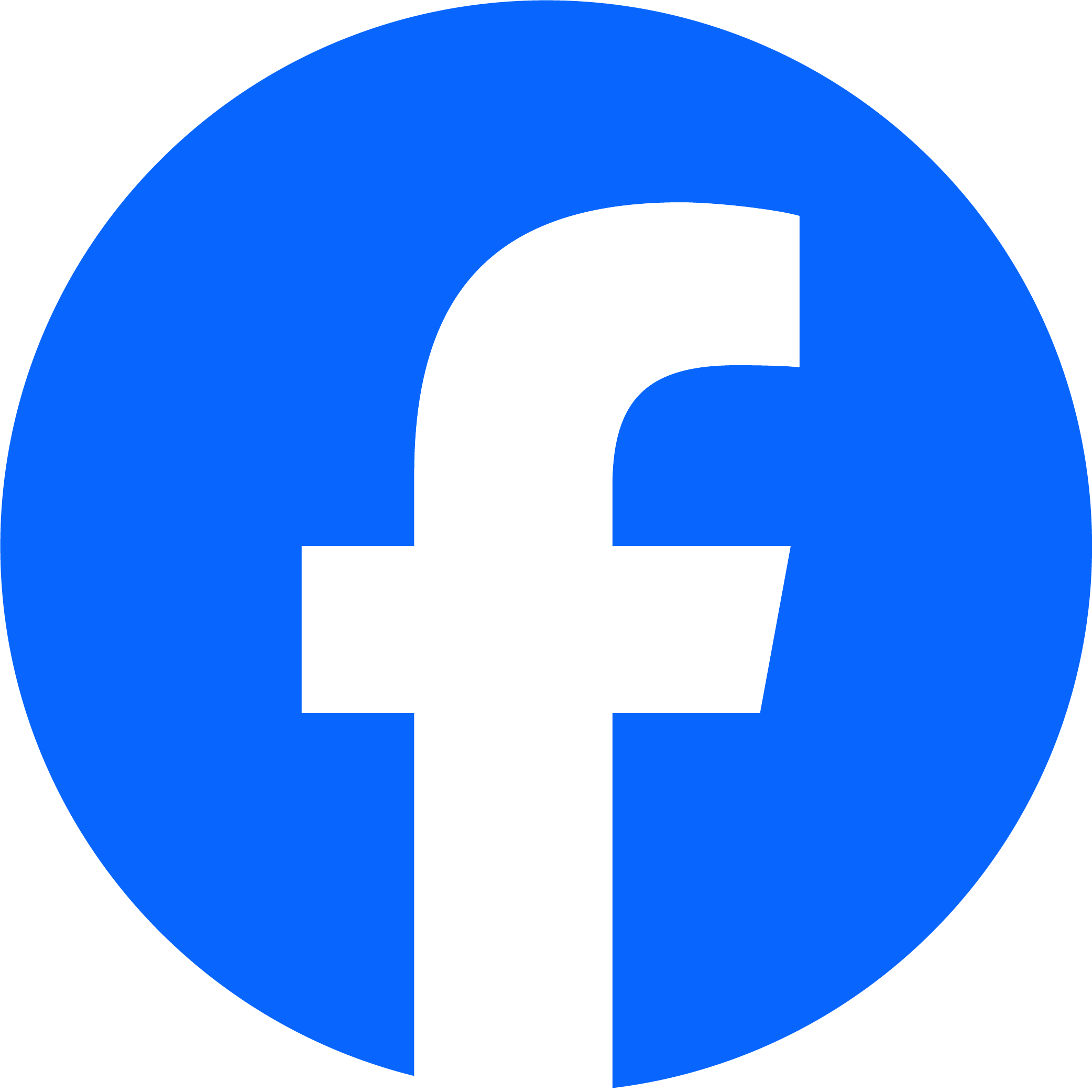 BLSV Logo